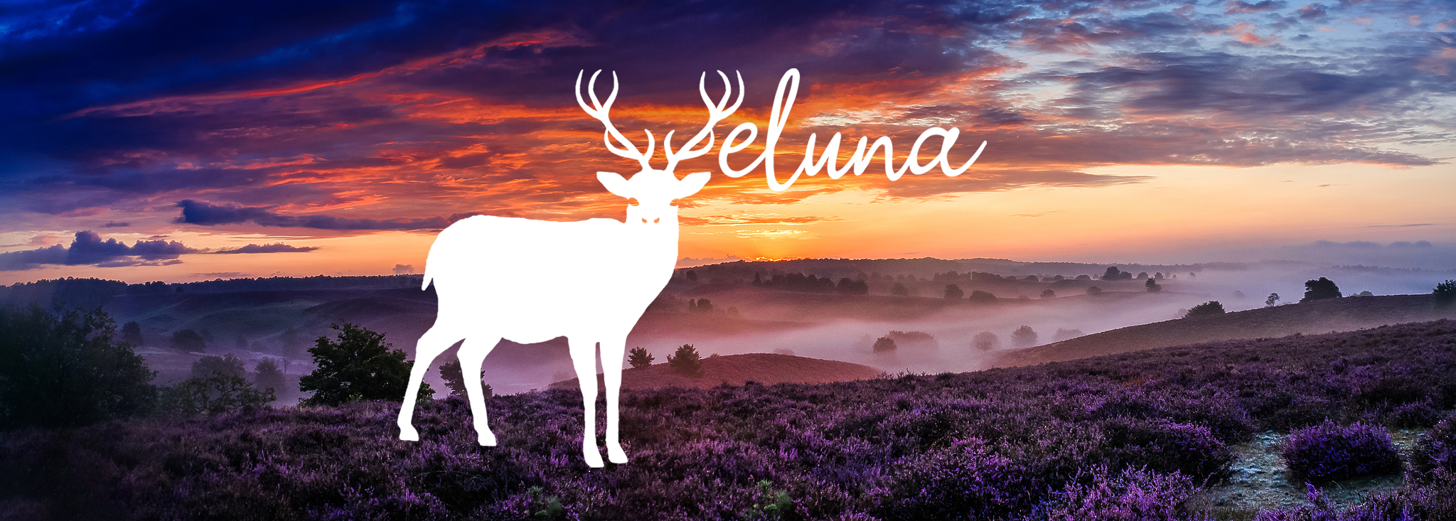 Veluna – sieraden van de Veluwse natuur